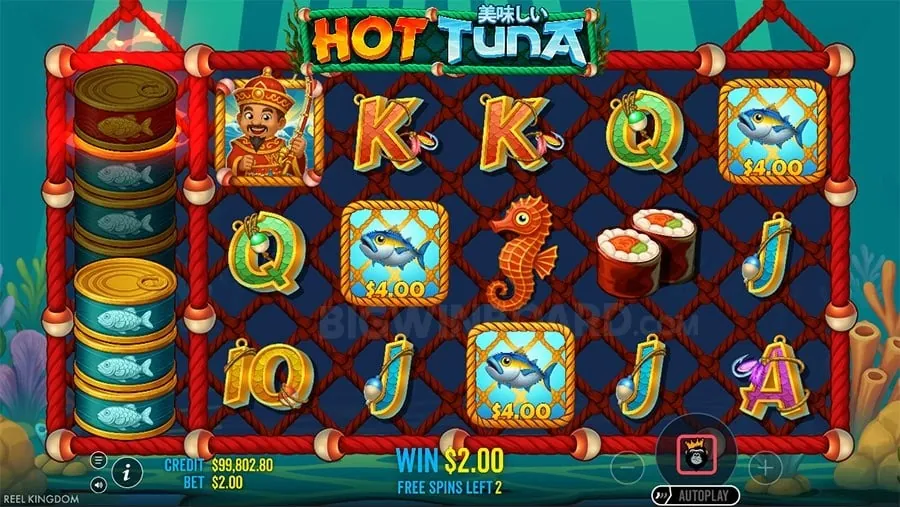 jili Sports Betting Fundamentals